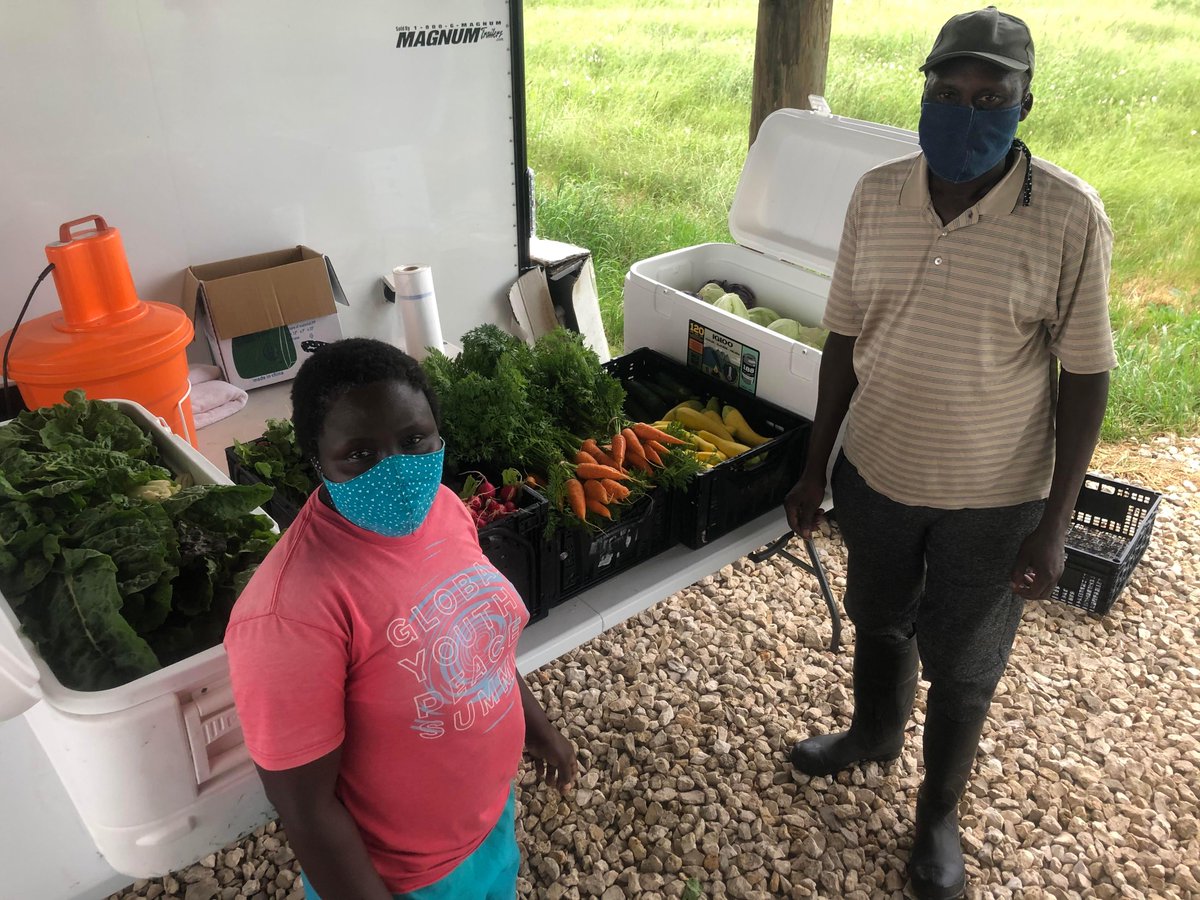 WholeCitiesFnd's tweet photo. Find out how some urban farm community partners are reimagining their programs.  https://t.co/JHkdUj7OtU 

📷@MRCAustin, Homeless Garden Project, @FootPrintFarms &amp; @FarmshareATX https://t.co/SVMeIakdJh