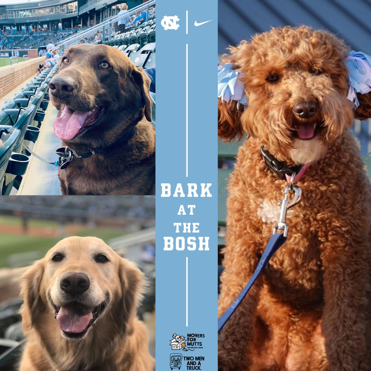 Carolina Baseball tweet media