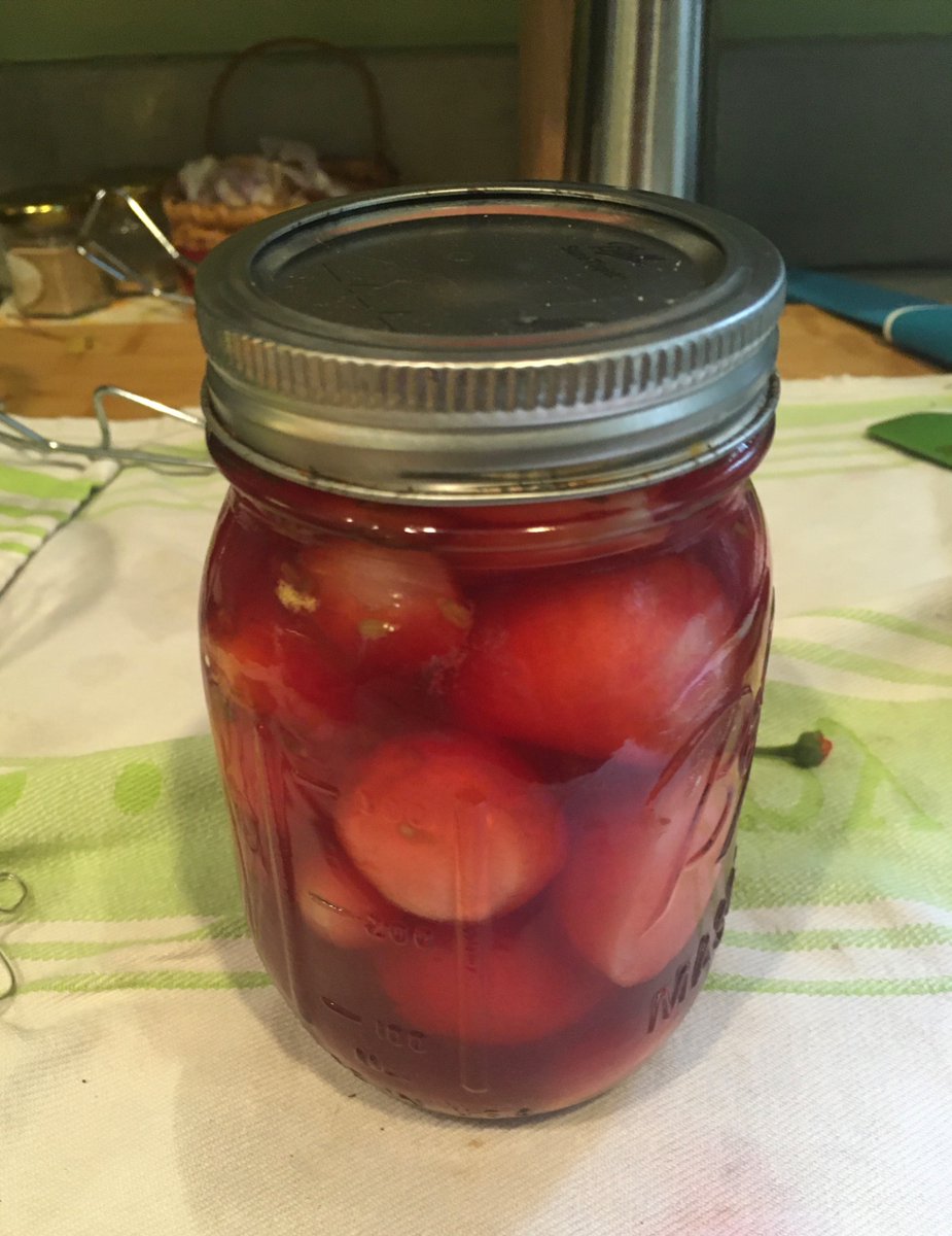 more pickled radishes. this time i burned my hand sterilizing the jar so i hope i did this right!