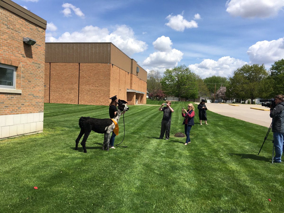 LTLions's tweet photo. Wow!! Great call by Mrs Soupiset to bring in Llama’s as a graduation photo op for her students!! Check it out tonight on the news!! #GoLoneTree #GreatThingsHappening https://t.co/FV6yAwE1t1