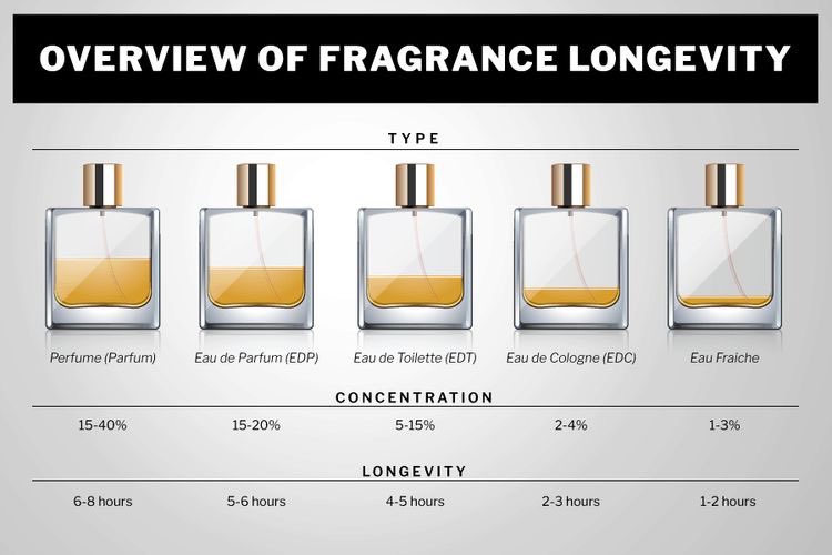 Manøvre announcer parti Perfume / Home Fragrance Store. on Twitter: "Want to know the difference  between Extrait, Parfum, Eau de Parfum, Eau de Toilette etc? Here's a  thread for you. https://t.co/ujiXIM5xeT" / Twitter
