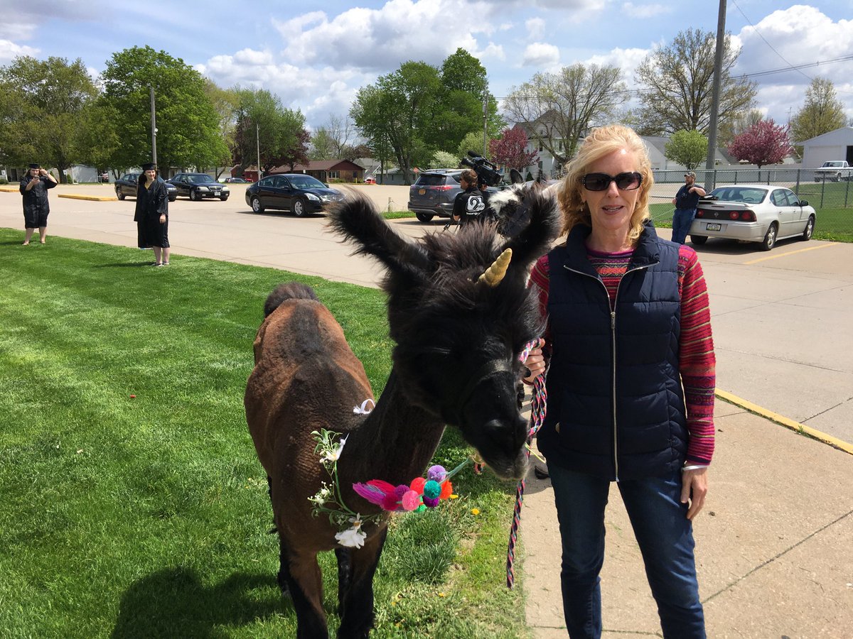 LTLions's tweet photo. Wow!! Great call by Mrs Soupiset to bring in Llama’s as a graduation photo op for her students!! Check it out tonight on the news!! #GoLoneTree #GreatThingsHappening https://t.co/FV6yAwE1t1