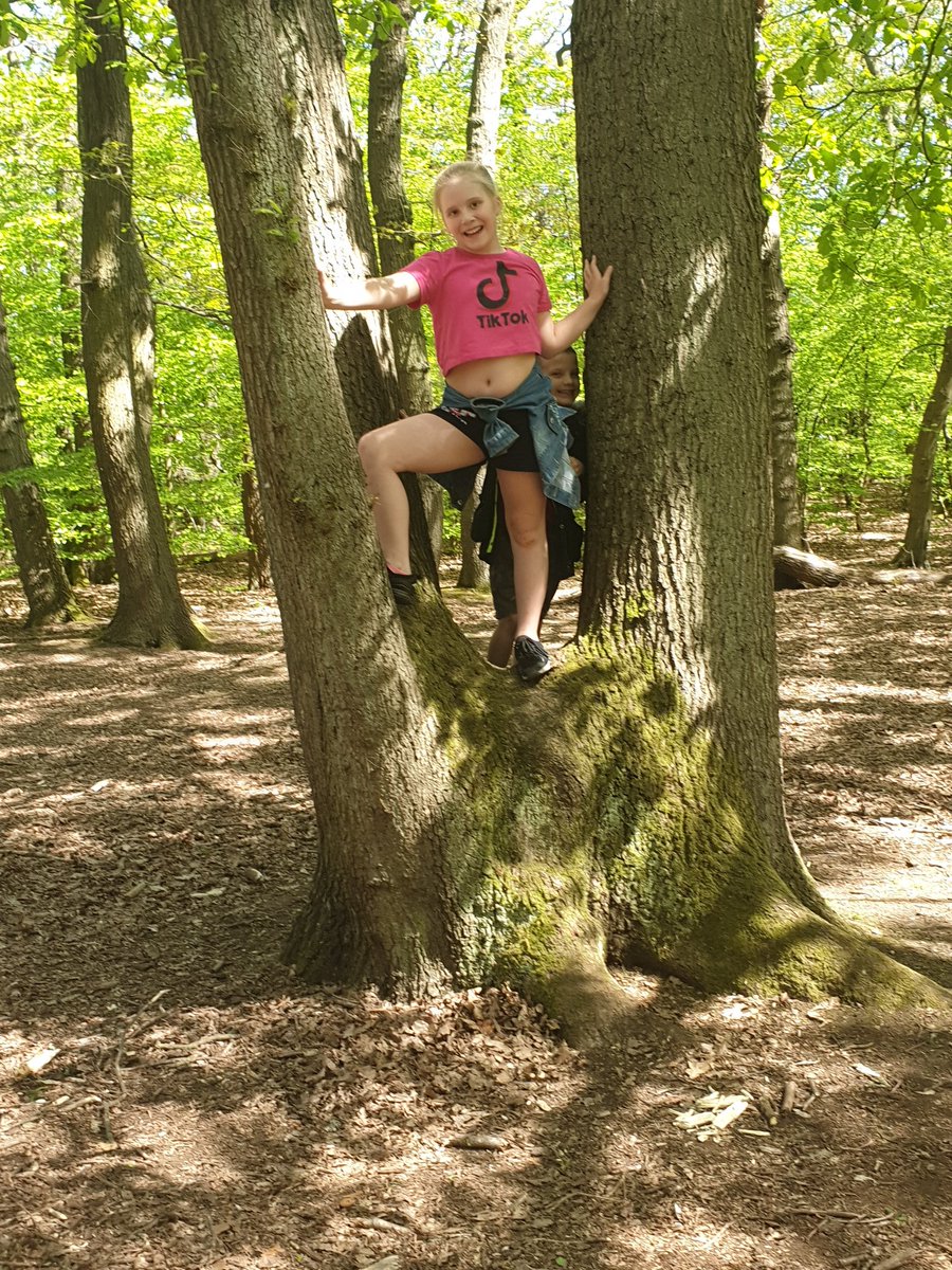 nicholaogs's tweet photo. Today we took a field trip to the elmstead woods @BurntAshSchool https://t.co/Z0dhX9E5DC