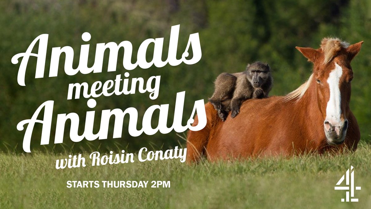 nocontxtoffmenu's tweet image. #nocontext #offmenu #offmenulive