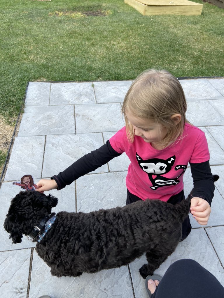 SamNels08's tweet photo. Addison was so excited to see what she got in the mail!! First thing she did was introduce @MrsWare9 to her puppy Buzz. Next, they played outside and went down the slide together. https://t.co/H6vUei4hOp