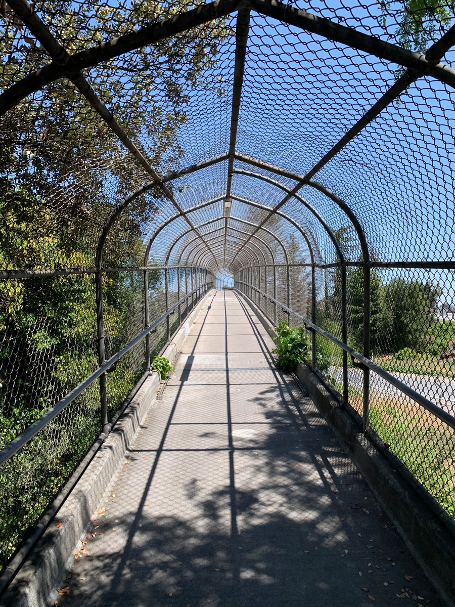 Enclosed bike overpass bridge with vines growing on it