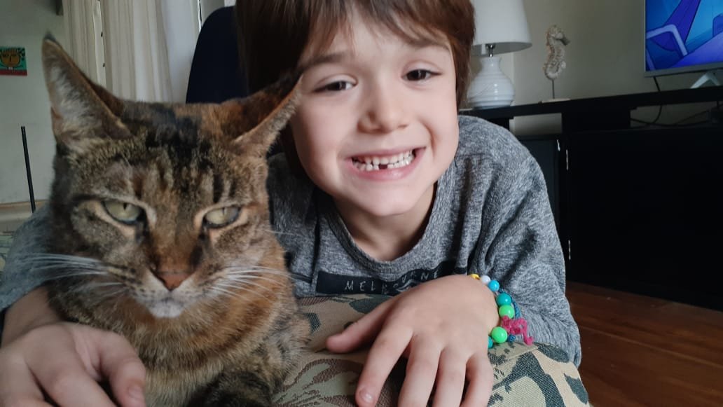 I b á ñ e z tweet media