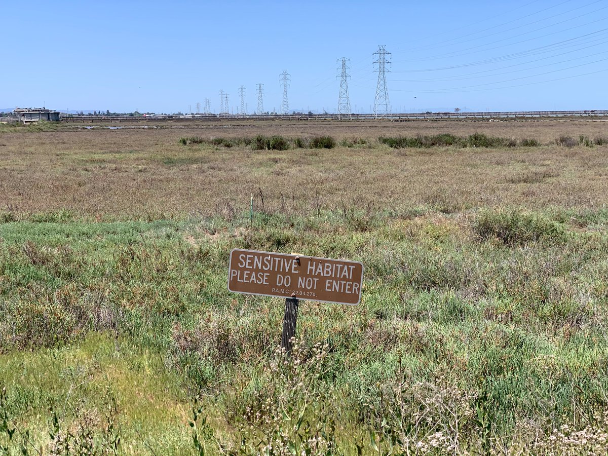 Sensitive Habitat: Please do not enter