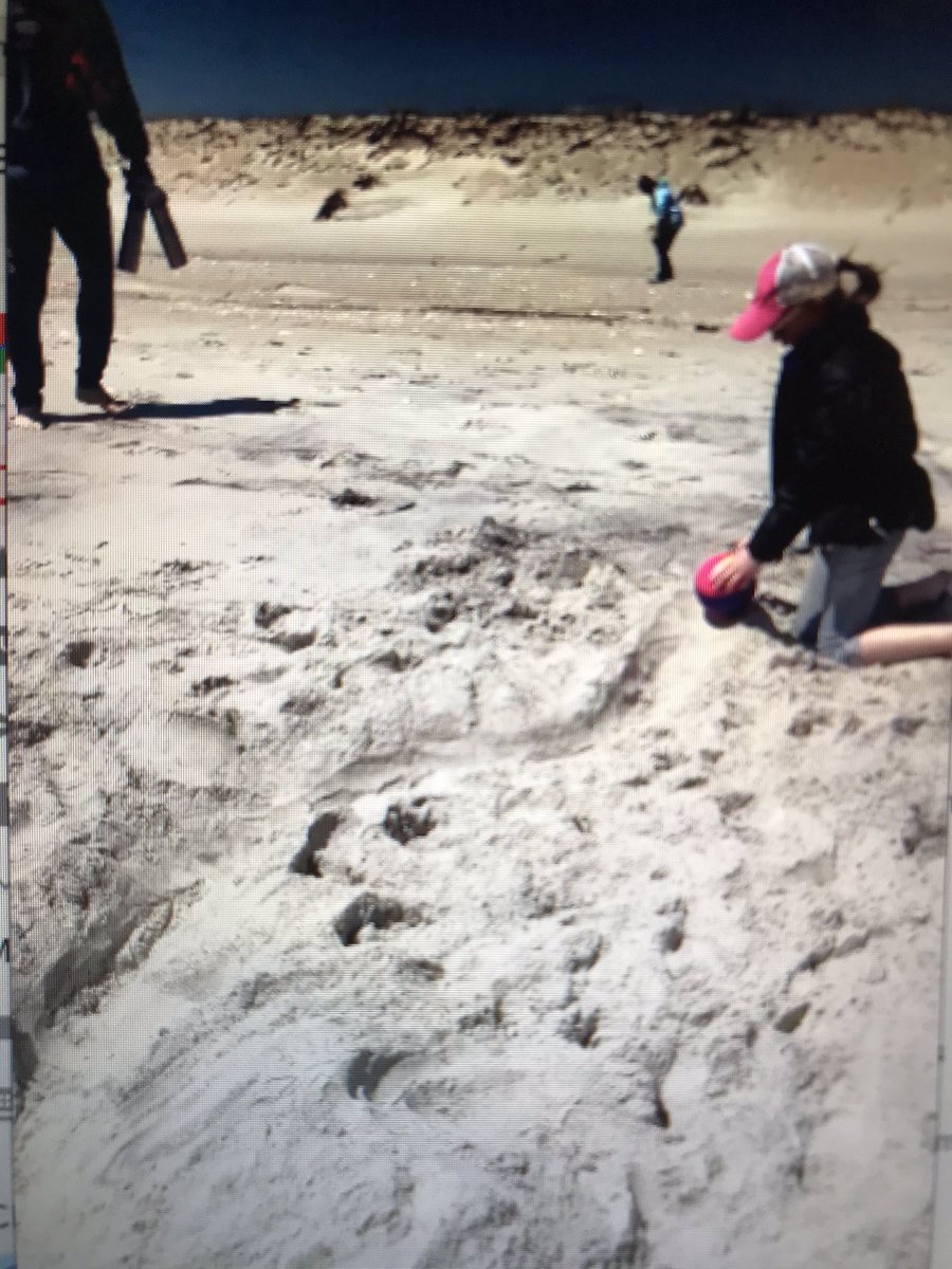 kpotralBethpag1's tweet photo. Julia from CBS managed to do some STEM activities at the beach! Thank you for sharing Julia! @BethpageUFSD @DschneiderBUFSD #stayathomeSTEM #beachSTEM https://t.co/rhhw4c9IRb