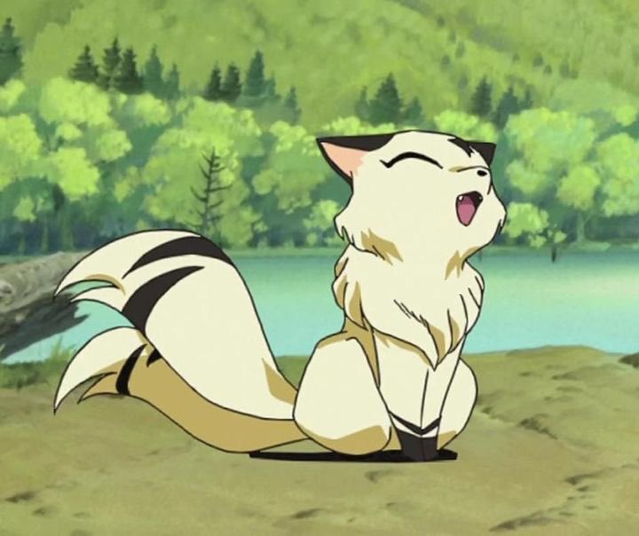 Les bakeneko et Nekomata dans la culture populaire : Dans Inuyasha, Kirara, le compagnon démon de Sango, est un type de nekomata qui peut transformer en un grand démon-chat entouré de flammes et capable de vol.Dans Soul Eater, Blair se révèle être un nekomata.