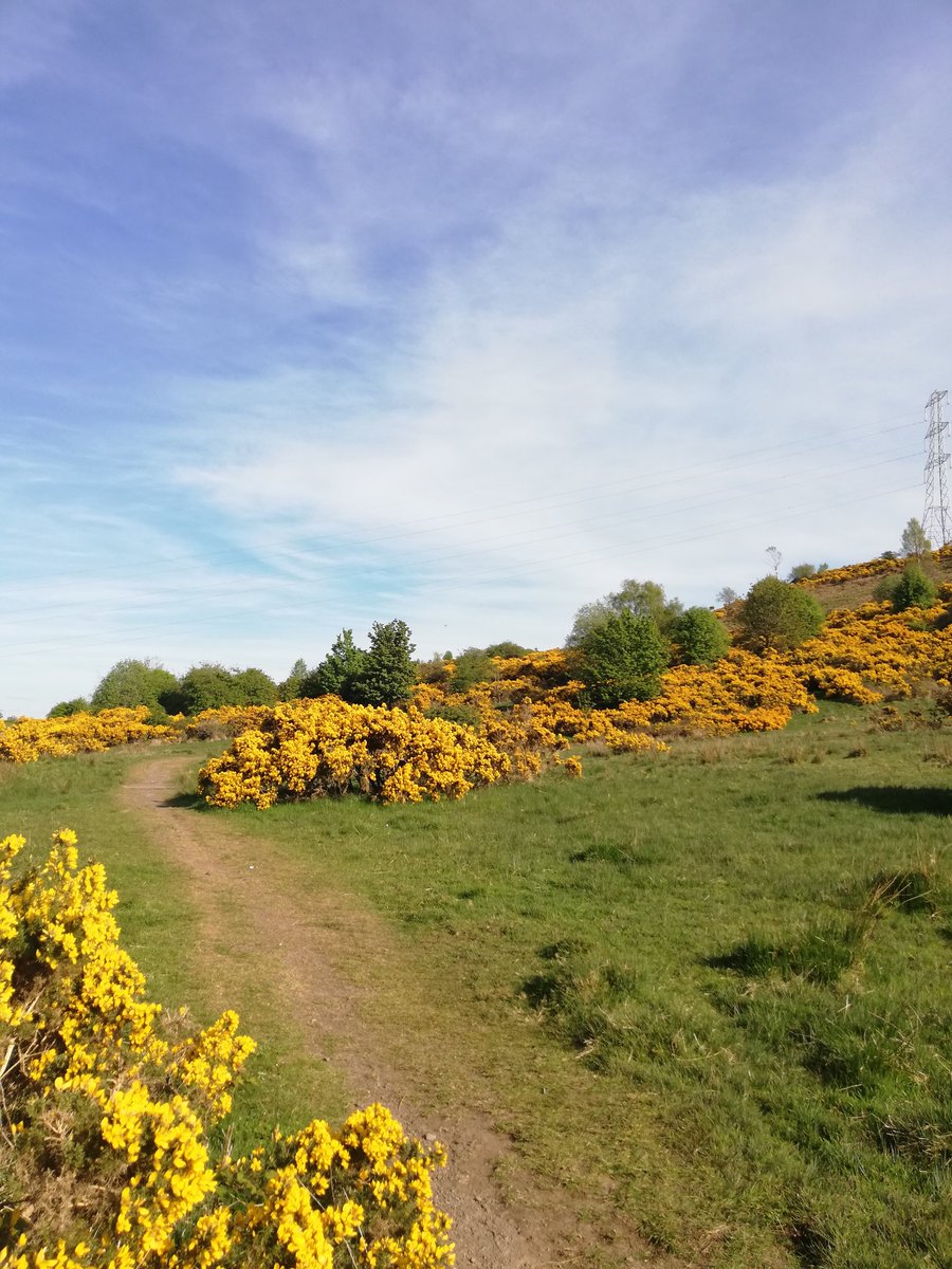 Kaylzuk's tweet photo. @stjohnsERC Adam out for a walk begging me to take pictures for his #outdoorlearning task! #photowalk https://t.co/WHPOMVewkd