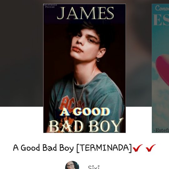EstefSixi's tweet photo. Hola babys. Miren que hermoso. He cambiado la portada. Para los que no saben, la primera portada de este libro es la más oscura. La mueva es la que se ve más clara. Que les parece? #Wattpad #BadBoy #NovelaJuvenil #Romance #Wattpadlatino #JamesSnow #AlexaJohnson #AGOODBADBOY https://t.co/2089cc08fG