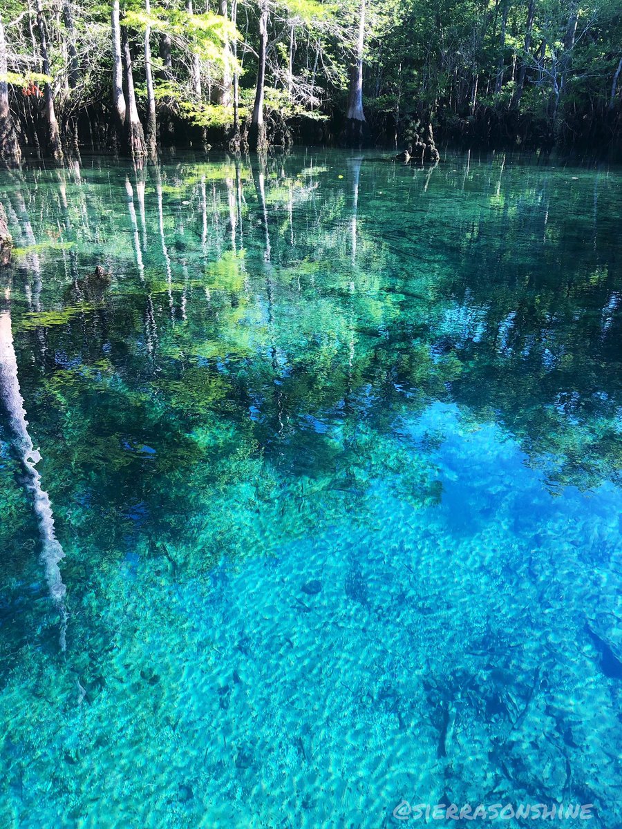 SierraRSons's tweet photo. Springs are so clear because ancient limestone formations frame the upper part of the Florida aquifer system, which is underneath the entire state! This provides water to thousands of springs around all of Florida, it’s the most in the entire world! https://t.co/LdbGkvEATb
