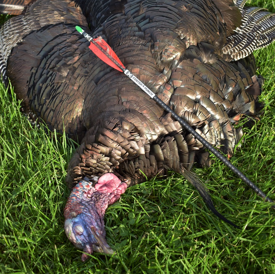 Have you tagged out or still in pursuit?

At 445-grains, our CenterPunch carbon arrows are the most accurate crossbow arrows ever and the most lethal to let fly on that spring gobbler.

Check out our other must-have turkey accessories -&gt; bit.ly/2L55SG2