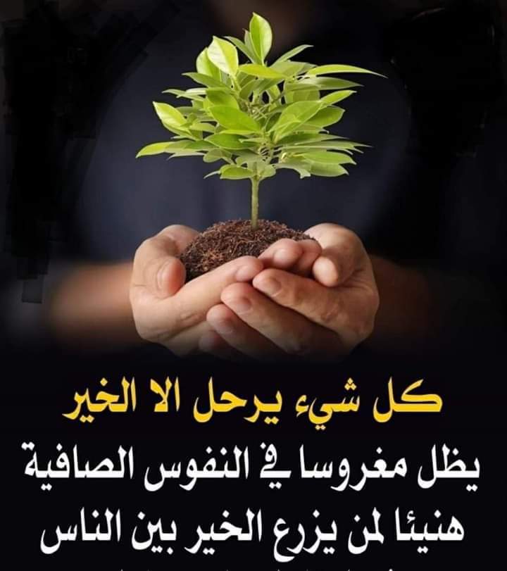 Mahmoud Mosallam (@mahmoudmosall19) on Twitter photo 