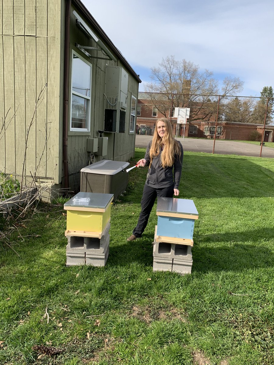 Expanding our garden to include two beehives. Excited to give our students this amazing opportunity for enrichment. 🐝 @drpeluso @RCSDNYS @RCSDsch46