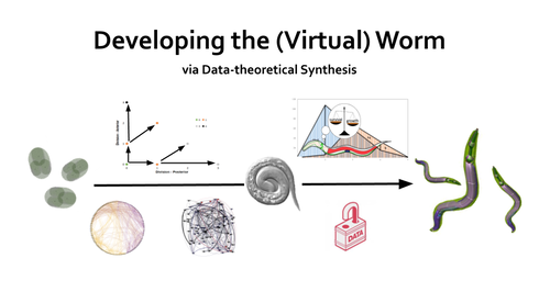 Orthogonal_Lab's tweet photo. Interested in the intersection of Theoretical Biology and Open Data? Check out “Developing the (Virtual) Worm Via Data-theoretical Synthesis”! #openworm
Figshare: https://t.co/fJvVTzaS3r https://t.co/QqcrxXS141