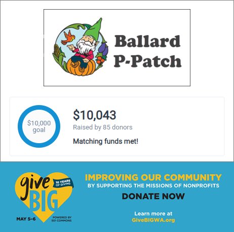 Ballard P-Patch tweet media