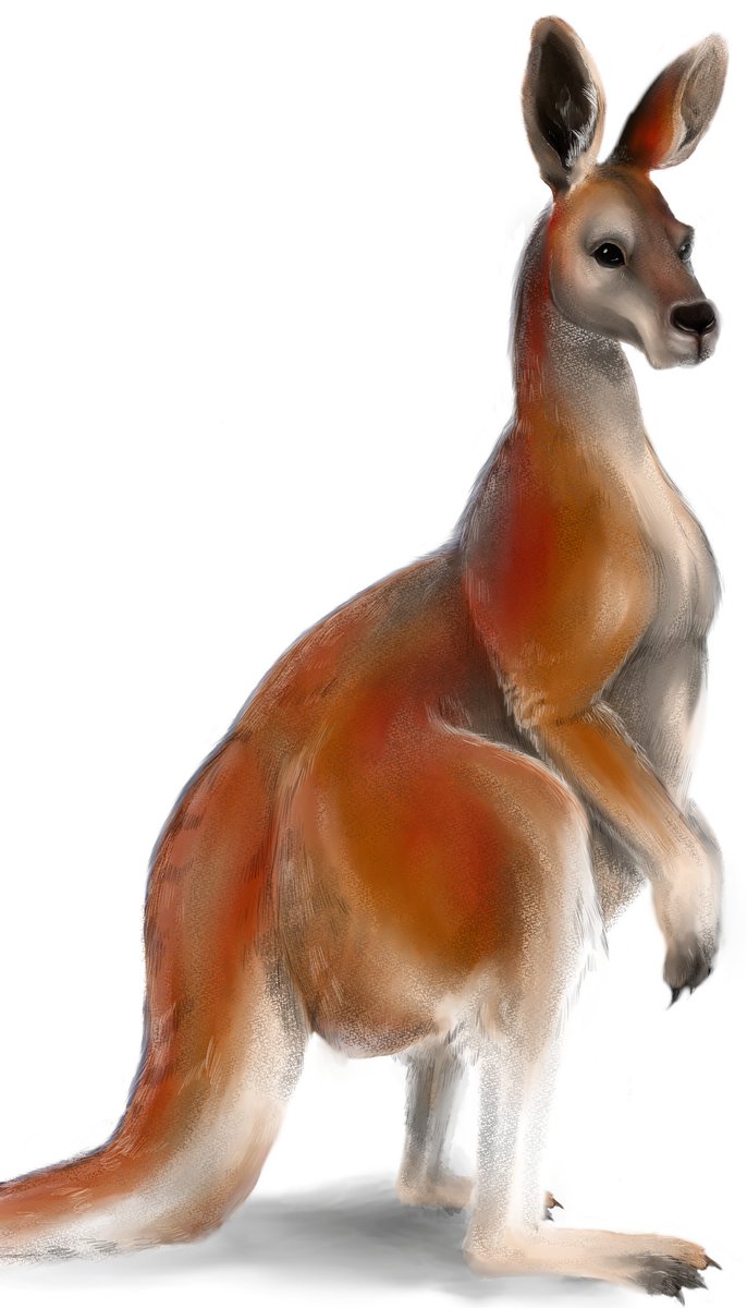 ribbonotes's tweet photo. I'm proud to have work in #WisdomUnderFire for making wonderful characters for this project. I had a great time with the talented crew that made this happened! And with every purchase, 100% of its funds will help a charity @wildlife_vic that helps the wildlife in Australia. https://t.co/M0oGn8wtcr
