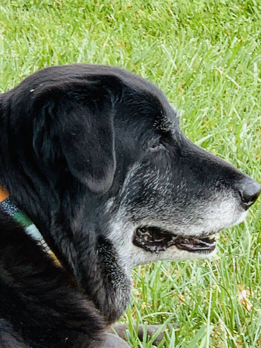 Beth Ann Smith tweet media