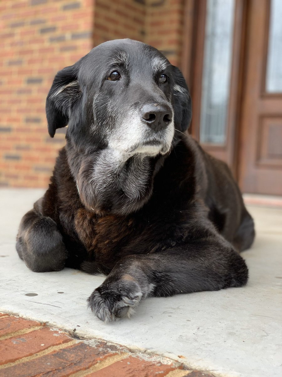 Beth Ann Smith tweet media