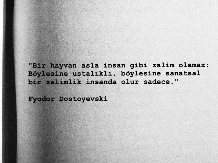 10/10 Kitap (@onlukitap) on Twitter photo 