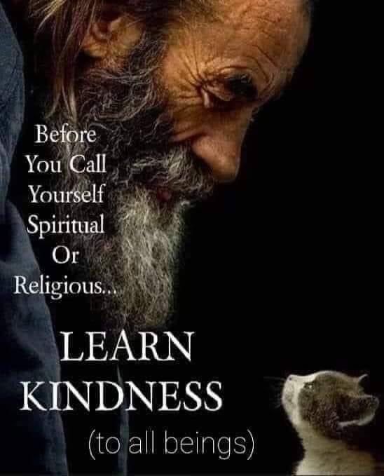 KineticKash's tweet photo. #Kindness #BeKindToAllKinds #Spiritual #Vegan #AnimalRights #Kind #BeKind #VeganForTheAnimals #Love #Peace #VeganFollowBack #VeganFollow #VeganFollowForFollow #Cat https://t.co/4nSfEPmIG6