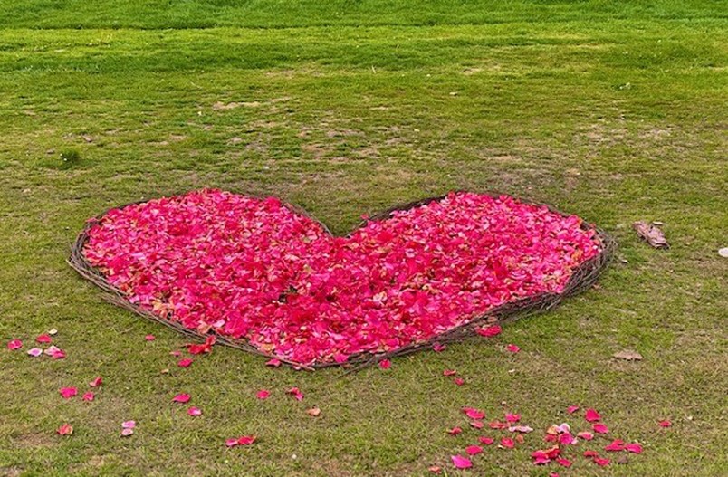 Photo: Vanessa Carlysle-Smith A reader sent in these amorous photos recently which appear to show a number of large hearts fastened out of sticks and loose flower petals. bit.ly/3cdanud