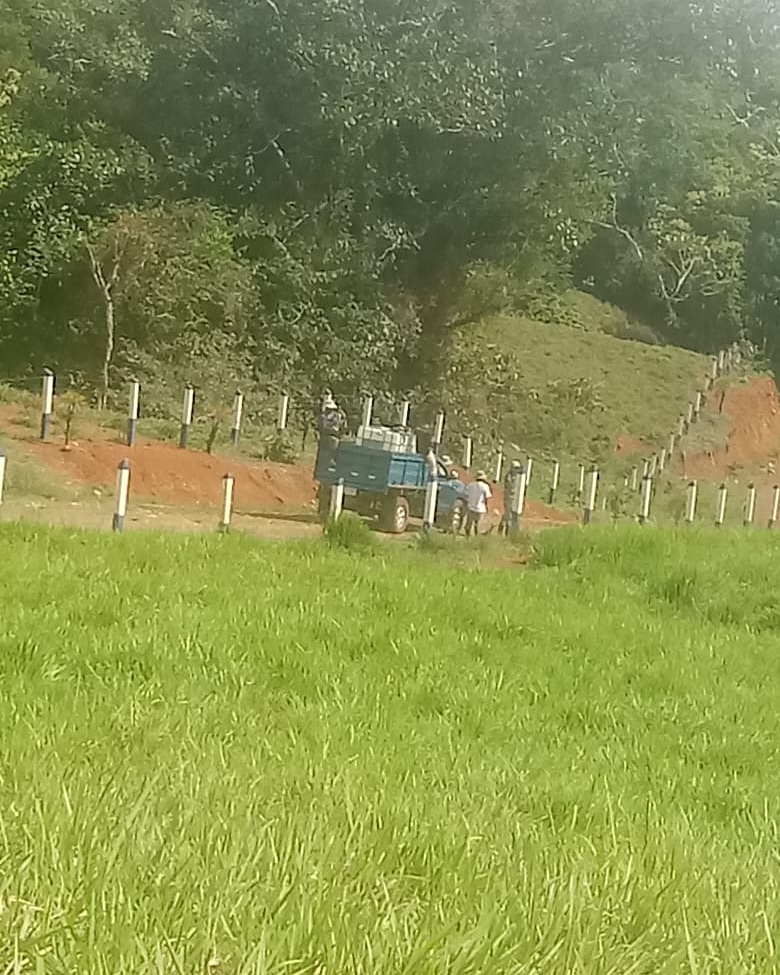 izquierdawebcr's tweet photo. Vuelve a meter ganado ilegalmente en Territorio #Cabecar de #ChinaKichá.
El empresario Gilberth Fernández volvió a meter ganado ilegalmente a la recuperación “Salkeglo Kaskä” en el Territorio Cabecar de China Kichá.
https://t.co/vG3Tw6LfIm https://t.co/E9BMuogkIZ