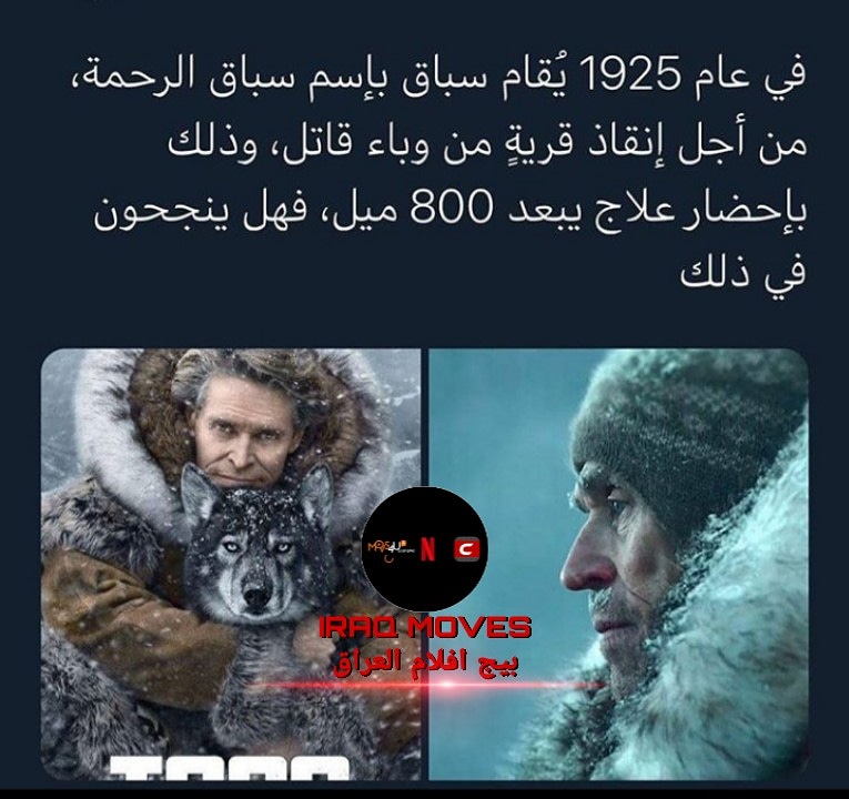 IRAQ_MOVES's tweet photo. اسمة : togo (2019)
#رمضان_كريم https://t.co/D4cBjZeelk