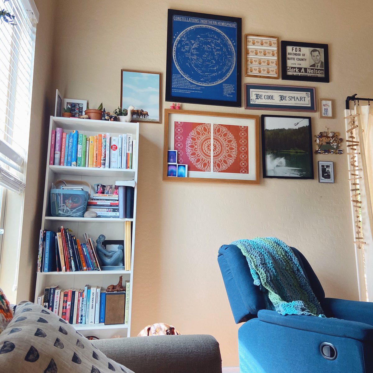 thebrandilyn's tweet photo. I really love my house 💙✨ https://t.co/K2ocny9qCG