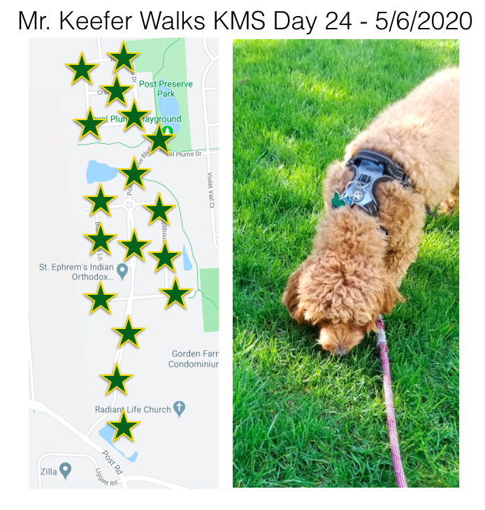 KMSRoom229's tweet photo. Day 24 of #KMSWander is done. Juno, @juliekeefer, and I went to Post Preserve. It was awesome seeing a new neighborhood and running into @KarrerMS Health teacher - Mr. Huesman https://t.co/y4WOIIkiqQ