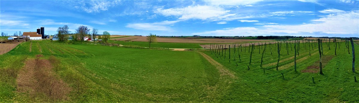 CheeseCityBeer's tweet photo. It's greenin' up on our Beer Farm!
.
.
#wibeerwednesday #craftbeer #craftbrew #beerfarm #farmer #wisconsinfarm #microbrew #spring #green #springtime #beerme #beerhere #wegrowbeer #localbeer #farmtotable #supportfarmers #agriculture #ag #ale https://t.co/EIRWaHx8z2