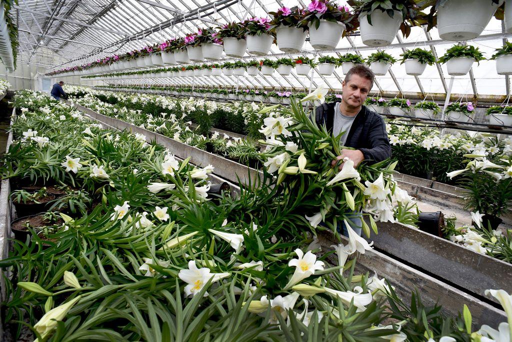 Apr 14, 2020 at 12:00 PM

“It's devastating for our industry," Dave Lehmann said about Michigan's business restrictions during the coronavirus outbreak. superfloral.com/rss-feeds/grow…