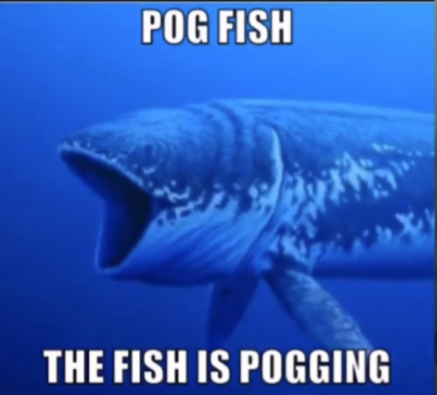 The Updog Podcast tweet media