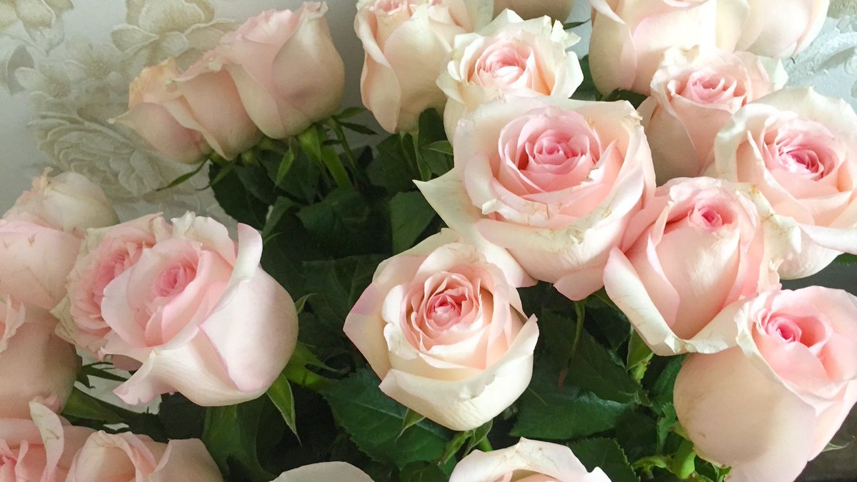 Mother’s Day 2020 is going to be a bit ... different compared to years past. There will be no group brunches at restaurants or other big in-person family gatherings. Kids won’t be bringing home cute crafts they made with their art teachers at school. superfloral.com/rss-feeds/mass…