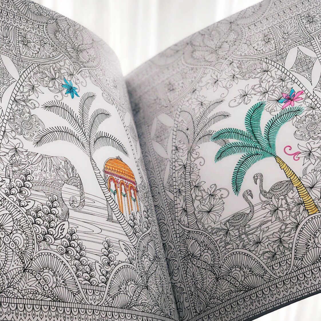 CommPrefect's tweet photo. Channeling my inner artist during Arts Week! 🎨 You can never be too old for a colouring book 😉 #ACArtsWeek2020 @Appleby_Arts @APrefect https://t.co/4tZamT6odZ