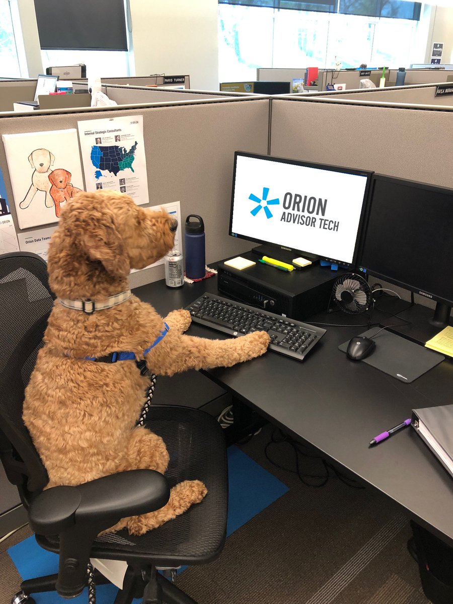 orionwealthtech's tweet photo. What are your favorite fun slack channels at work? Weβre big fans of #petsoforion and #playlistshare and we recently discovered an uptick in activity in #pushups.
What are you and your team bonding over? https://t.co/Aj5Ixeb9Hj