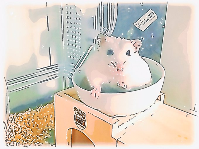 ハムスター 高画質 のtwitterイラスト検索結果 ハムスター 高画質 のtwitterイラスト検索結果