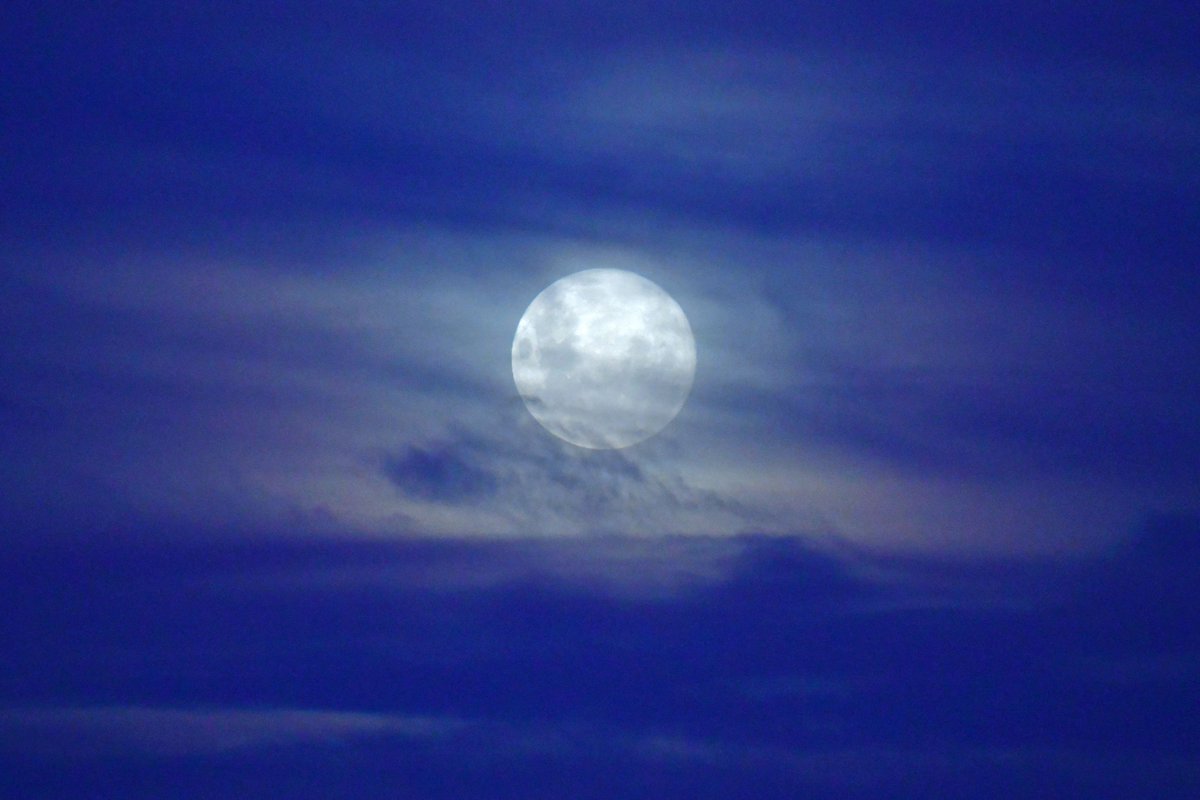 maxijonas's tweet photo. La última Super Luna del 2020, conocida como "Luna de Flores" es observada entre nubes desde las costas de Puerto Madryn, Argentina. https://t.co/YZ3ZD7rZ3f