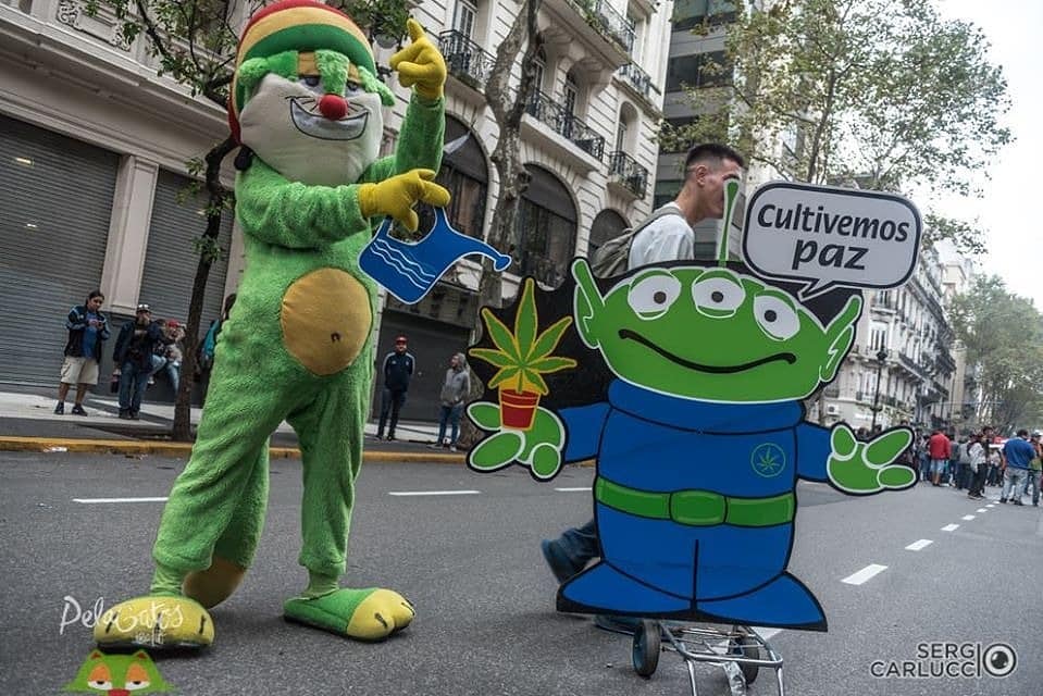 PelaGatosReggae's tweet photo. #CultivemosPaz
.
Dale #MeGusta si ya estas #420
.
📸 https://t.co/3jqtCEPGOS pa @PelaGatosOk
.
#NoMasPresosPorPlantar
#cannabiscommunity #cannabisculture #cannabismedicinal #ReggaeCat #Cat #Gato #Alien #Aliens https://t.co/woo0er22l3