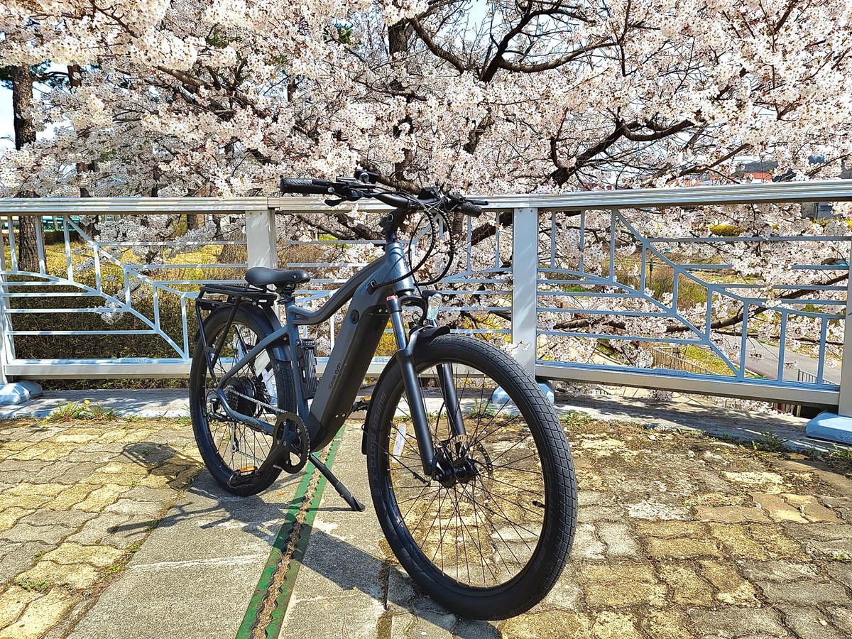 ride1up mtb