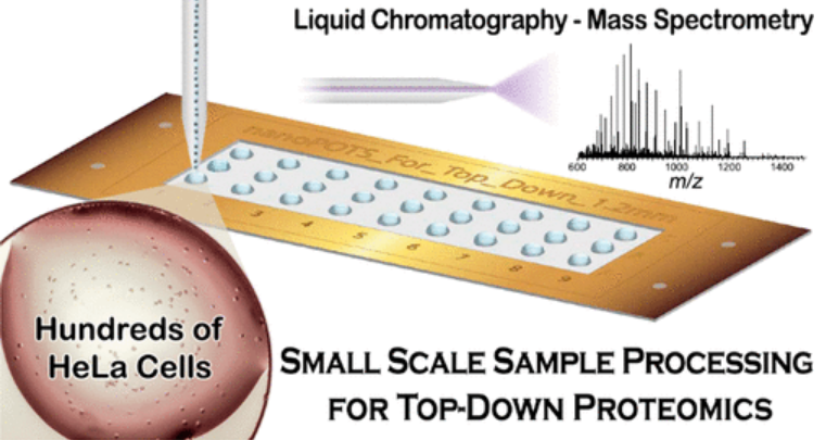 NanoPOTS_SCP's tweet photo. #nanoPOTS for top-down proteomics of <1000 cells https://t.co/Do3lD8p1gC https://t.co/nDmGlG63Xm