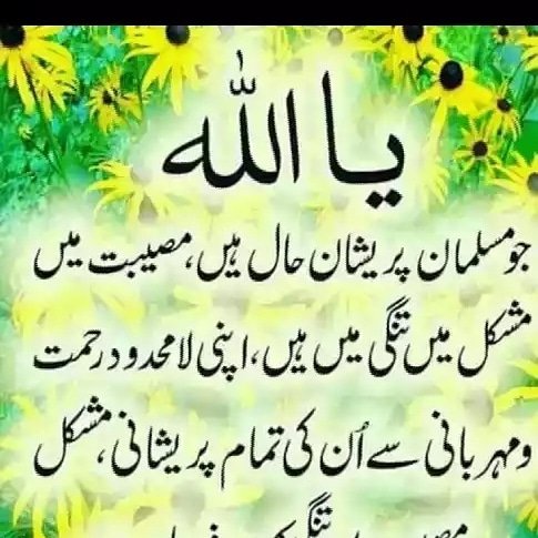 ChohdaM's tweet image. اَلسَّلامُ عَلَيْكُم