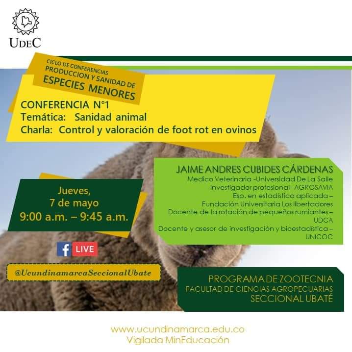 ancolombia's tweet photo. ANCO. Federación. Una Voz Nacional.

Invitación conferencias . Universidad de Cundinamarca. UDEC seccional Ubate, a todos los productores del sector ovino y caprino https://t.co/qYZF0qWfG6