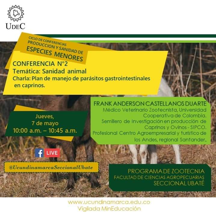 ancolombia's tweet photo. ANCO. Federación. Una Voz Nacional.

Invitación conferencias . Universidad de Cundinamarca. UDEC seccional Ubate, a todos los productores del sector ovino y caprino https://t.co/qYZF0qWfG6
