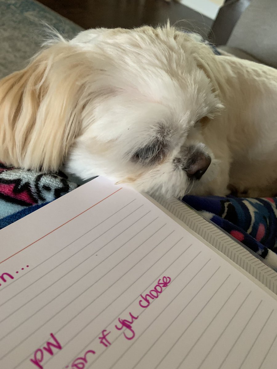 DeannaPowers's tweet photo. Working at home with a puppy... chewing my planner and begging for attention. She’s lucky she’s so cute. 💕 https://t.co/COorwXouLC
