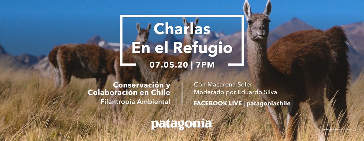 Lineas Magazine (@lineasmagazine) on Twitter photo 