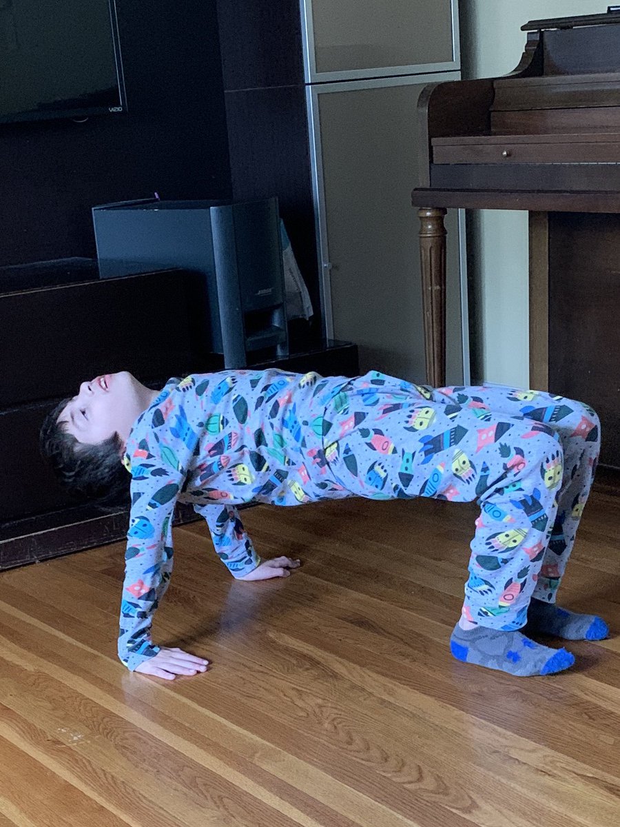 <a href="/WillowRoadPE/">Willow Road Physical Education</a> Francesco doing dip pushups.  💪