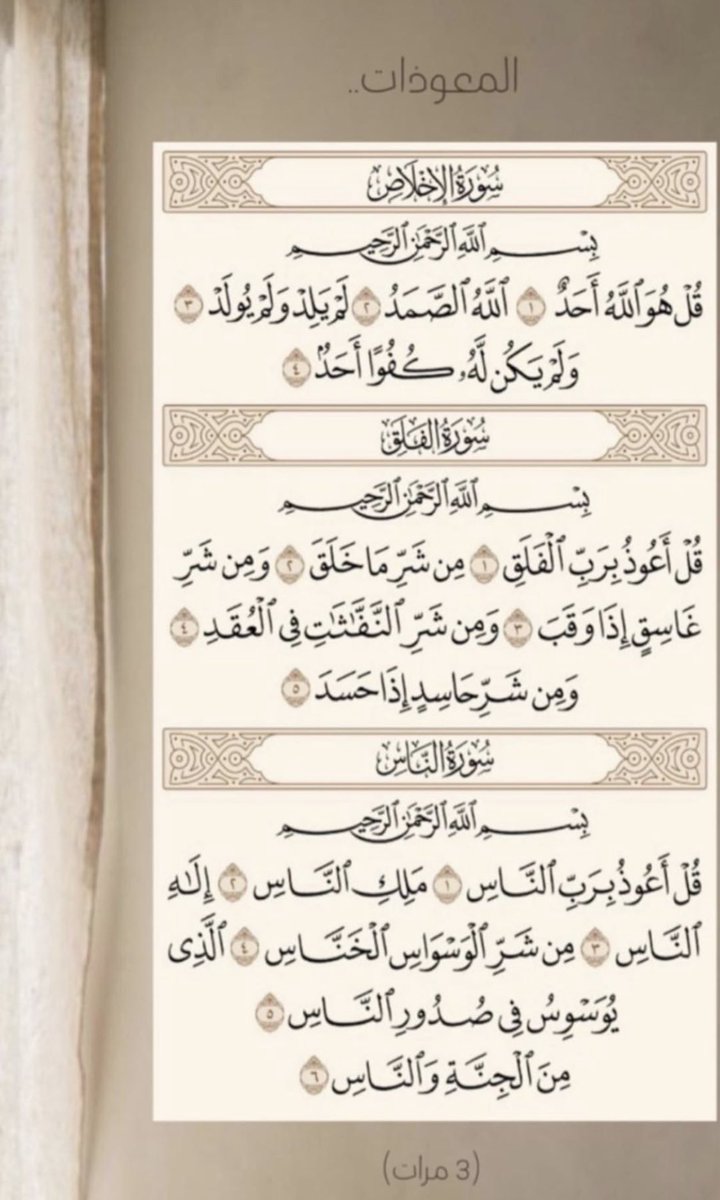 𝚂𝟿𝟷🤍. (@2sa11_) on Twitter photo 